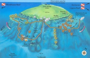 Straits of Tiran Jackson Reef