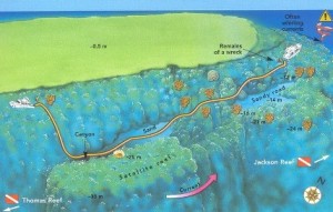 Straits of Tiran Woodhouse Reef
